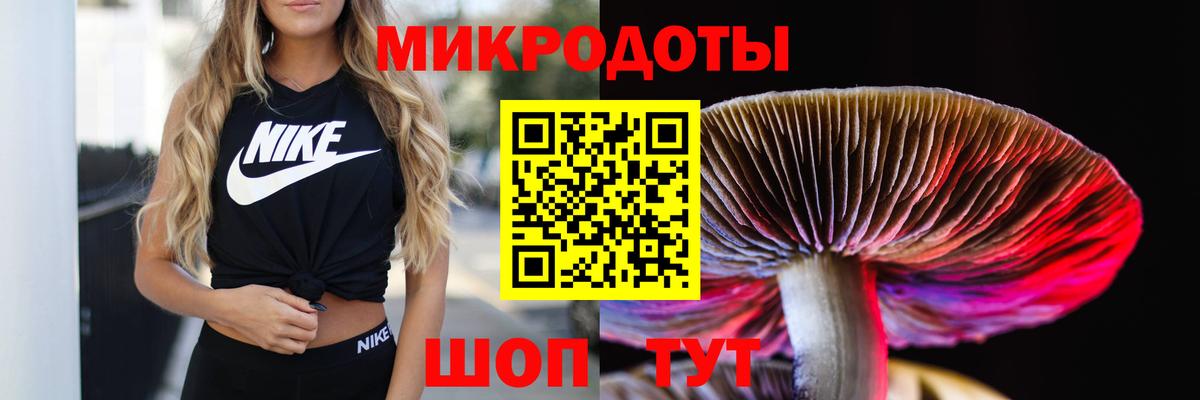 Галлюциногенные грибы MAGIC MUSHROOMS Городец