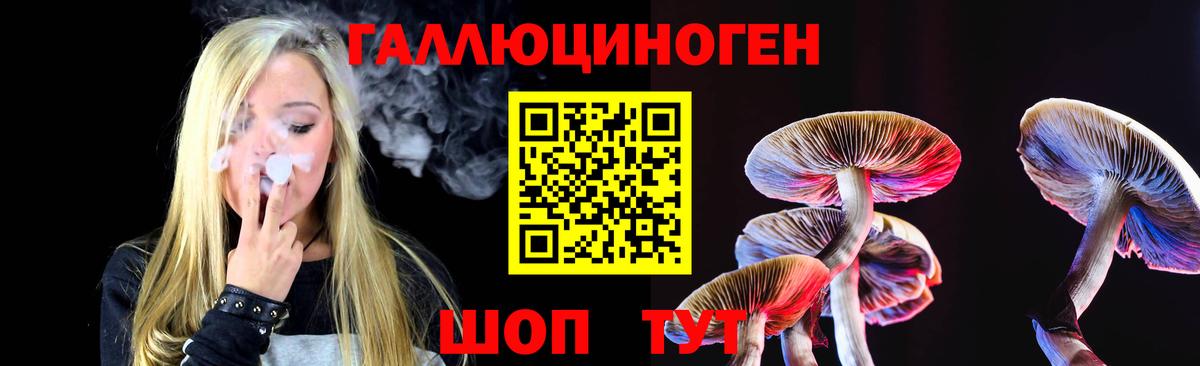 Галлюциногенные грибы Cubensis  Вход с VPN  Псилоцибиновые грибы прущие грибы  Городец 